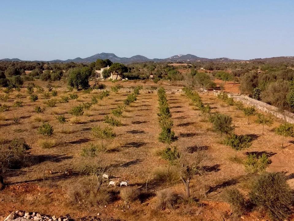 Agroturismo Blue Door Mallorca