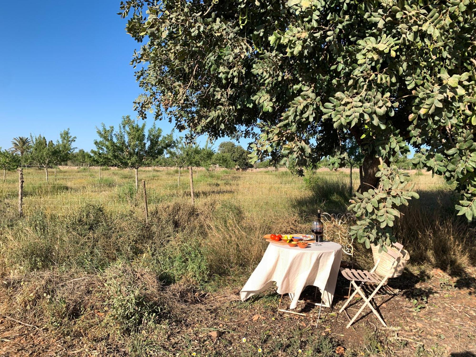 Blue Door Mallorca Agroturismo Cas Concos